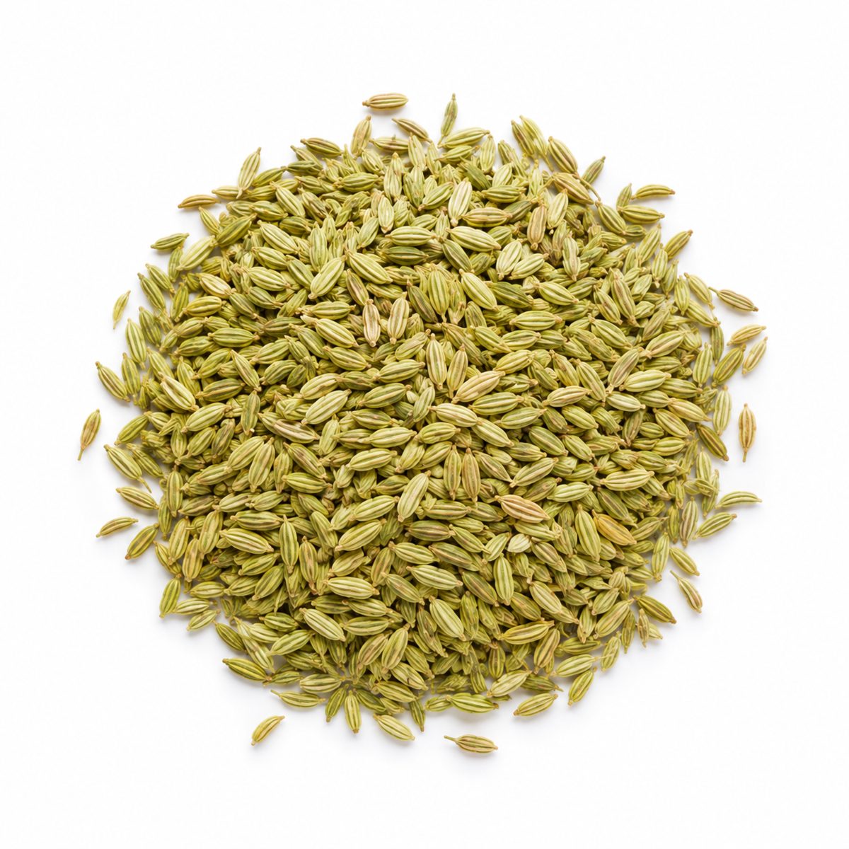 Fenchel