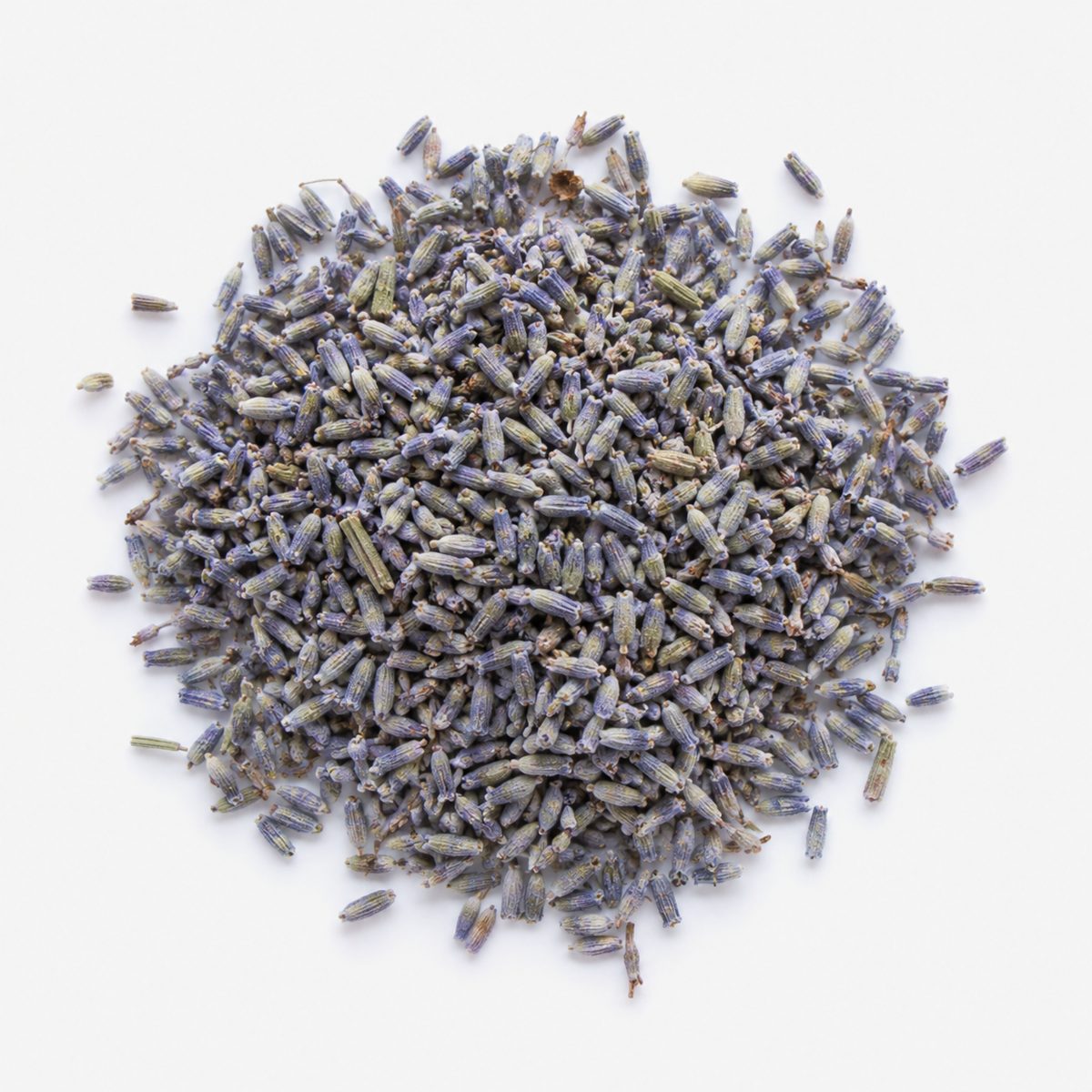 Lavendel